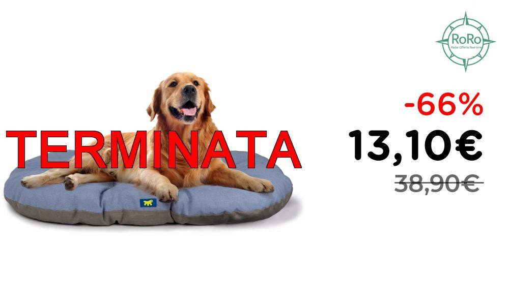 Offerta del Giorno!