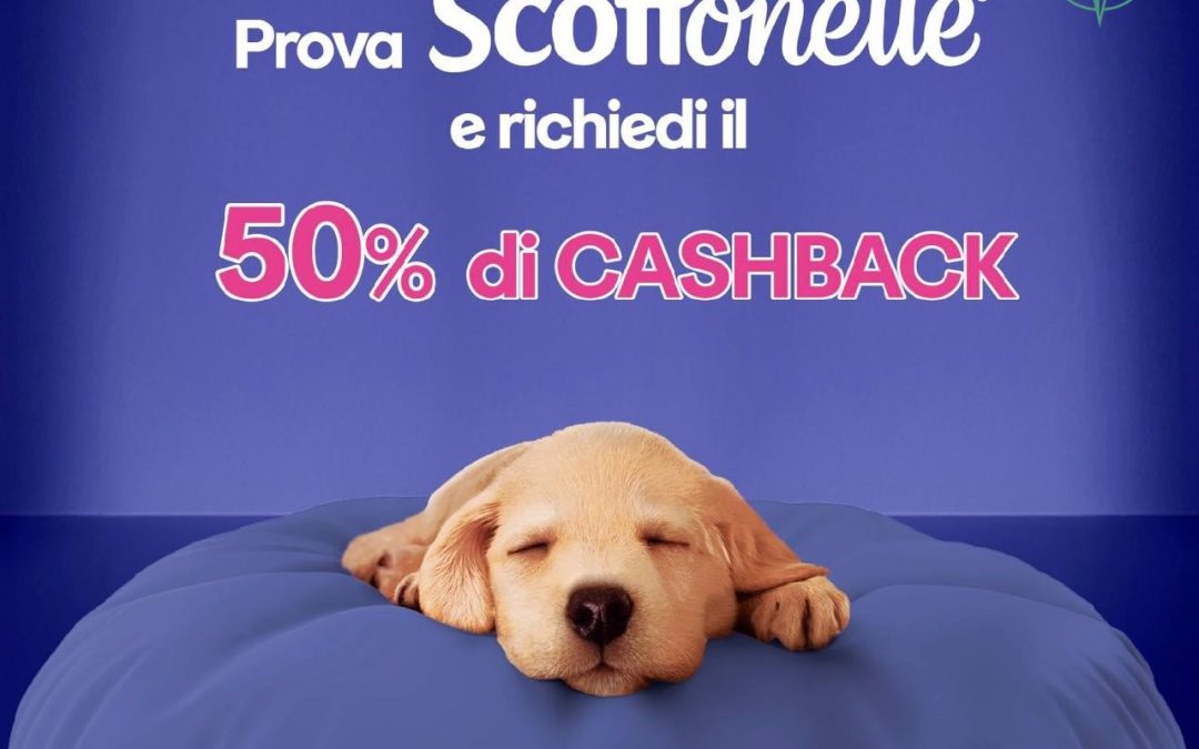Offerta del Giorno!